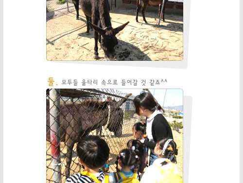 진귀명귀 당나귀 구경하세요^^