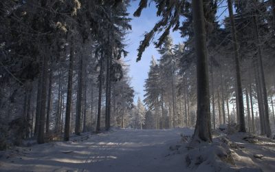 CES 2014 – A big fair  for Hi-tech fans in 2014