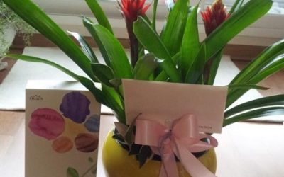 해외 아동센터 파견자의 어버이 날