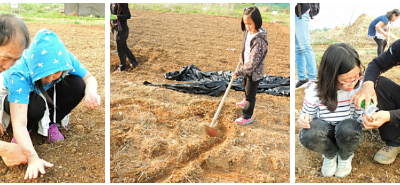 [안산글로벌] 다문화 아동들 원예로 ‘치유’를 만나다(1)~~