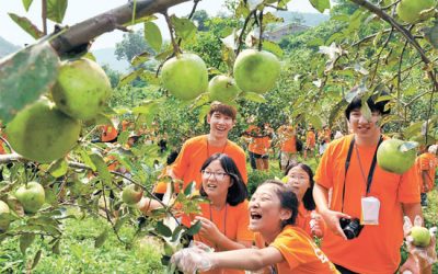 도움받던 아이들 ‘우리도 힘 보탤래요’–파랑새봉사단 캠프