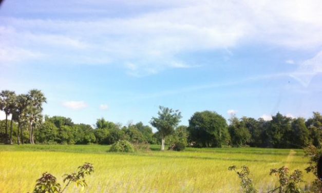 [캄보디아]We Start 캄보디아 센터 페이스북 페이지 개설!