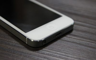 Sed interdum urna sit amet mi vulputate, et cursus nunc dictum