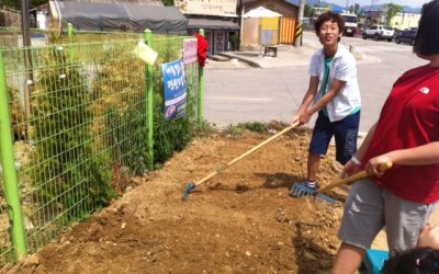 [철원마을]꽃들이 “안녕?”하고 인사하는 화단, 우리가 만들었어요