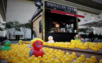 엔제리너스커피, ‘착한’ 오리 띄운다