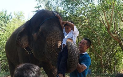 [베트남] 햇빛은 쨍쨍 학생들 눈은 반짝, 3학년 학생들 소풍 가던 날~