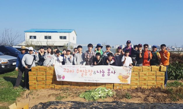 [고양마을] 꿀이 뚝뚝! 고구마 나눔