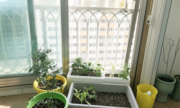 [준호] 준호와 엄마의 새 보금자리