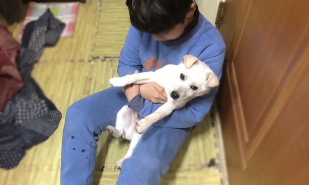 [한솔] 온기가 가득했던 겨울