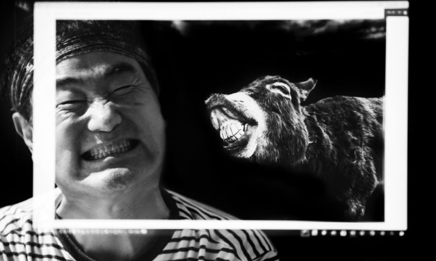 당나귀와 함께 산티아고 순례길 가는 여행가 임택