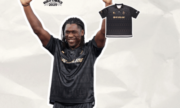 축구로 전하는 나눔의 패스, 세도르프·네스타·홍명보·이승우 위아자 참여[위아자 2025]