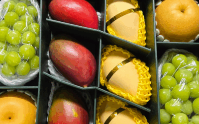 추석을 웃으며 보낼 수 있었어요.