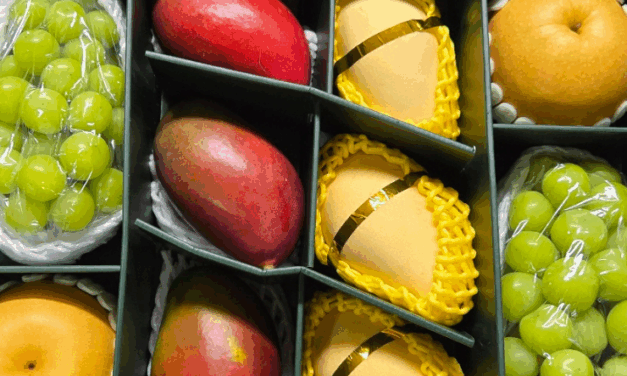 추석을 웃으며 보낼 수 있었어요.