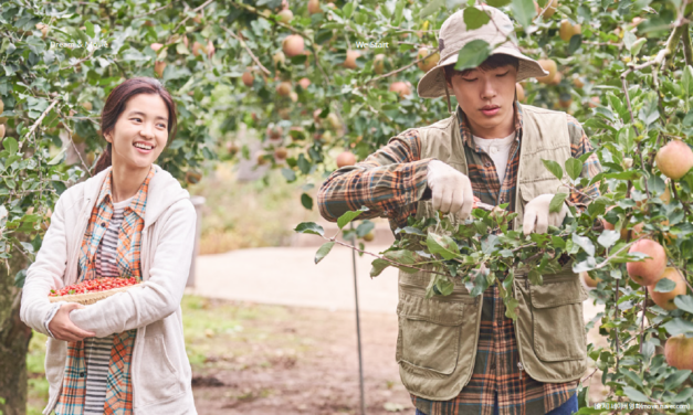 언제 찾아가도반겨주는 ‘작은 숲’이있나요?